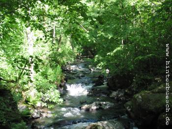 Wasserfall "Kleine Kyll" / Manderscheid